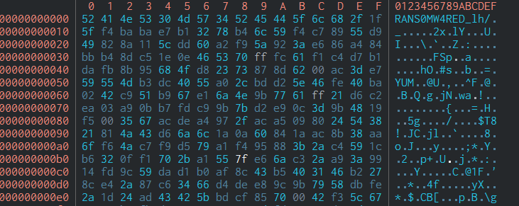 Defeating a Ransomware using Cutter's Emulation